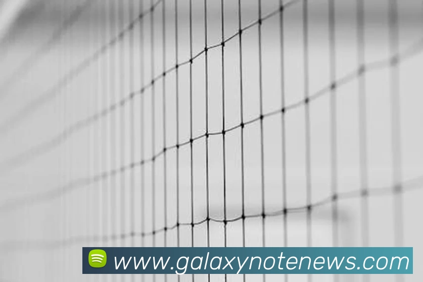 银河galaxy娱乐官网平台生态图